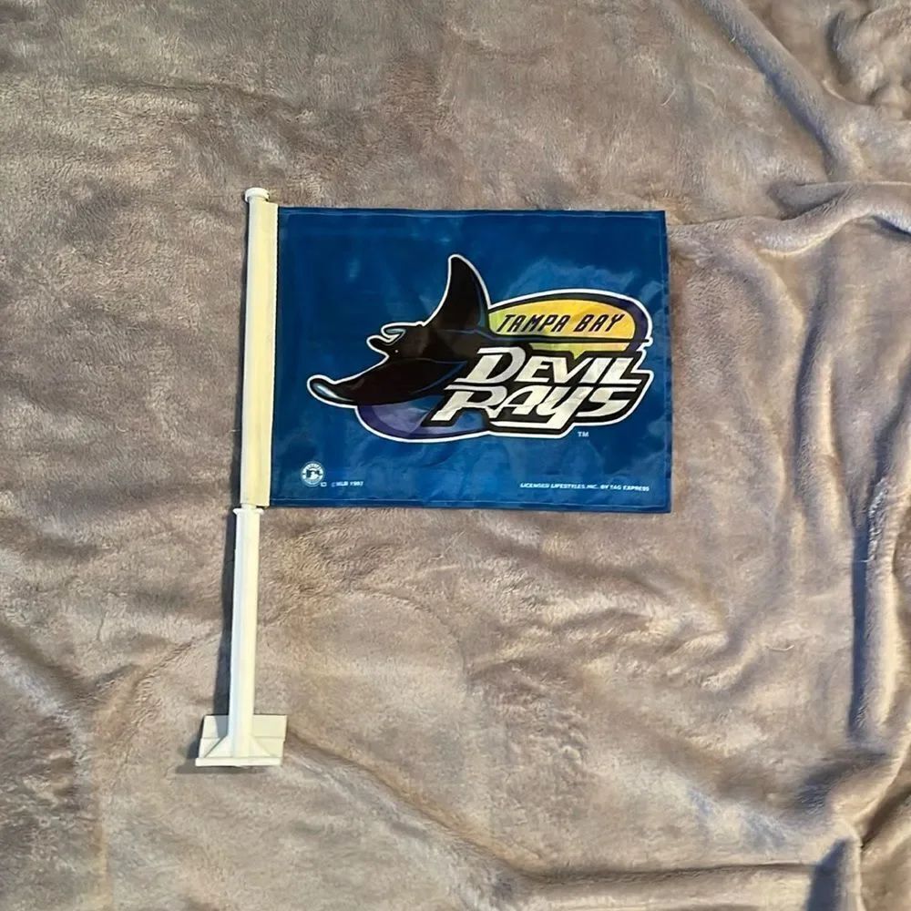 Vintage 1997 Tampa Bay Devil rays car window flag